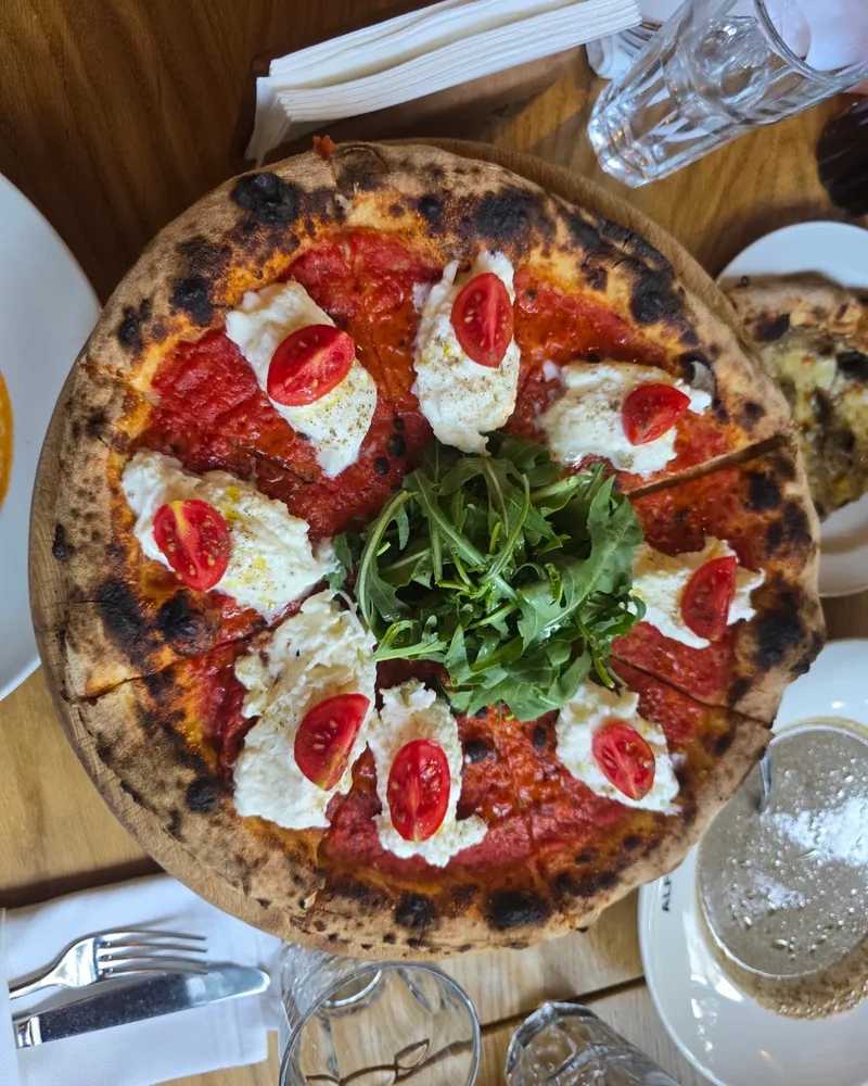 Neapolitan pizza topped with stracciatella, cherry tomatoes, and arugula at Alfredo