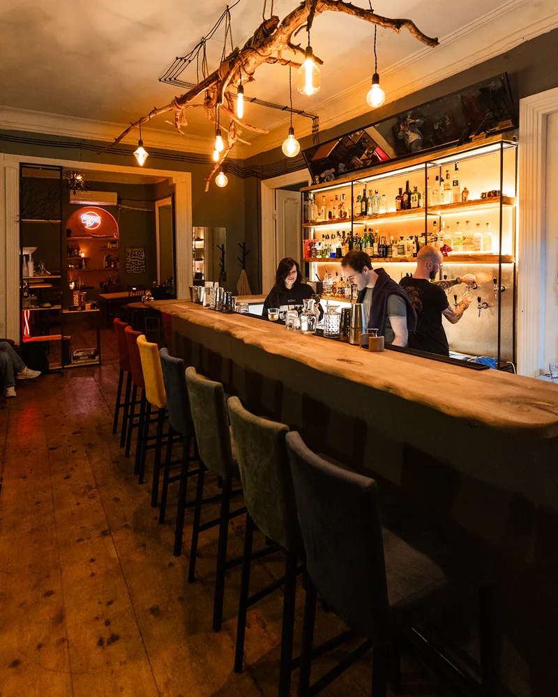 Long live-edge bar with multicoloured stools and a branch chandelier at Crossroads Bar