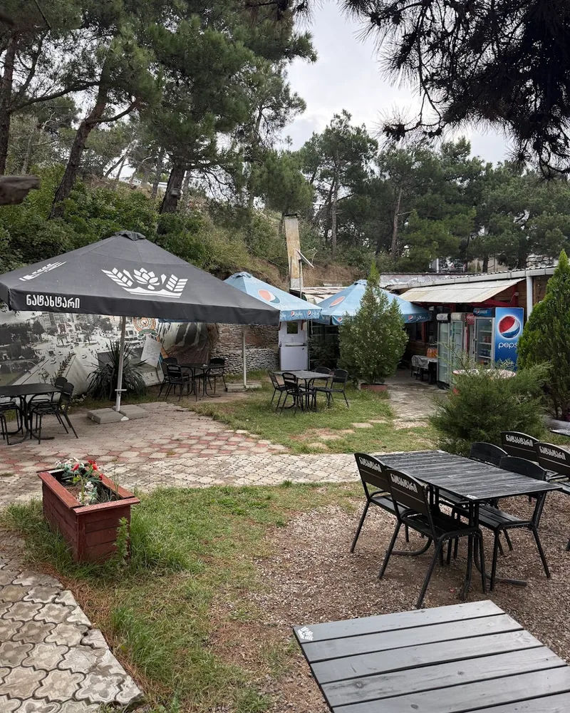 Outdoor courtyard seating with umbrellas among trees at Golden Moon