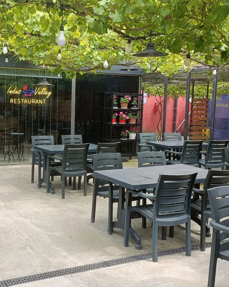 Outdoor courtyard seating under leafy canopy at Indus Valley