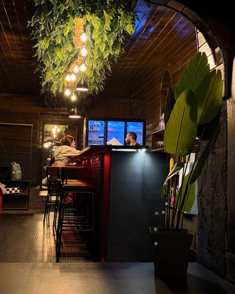 Dimly lit bar counter with hanging greenery and warm pendant lights at Lion's Sushi Bar