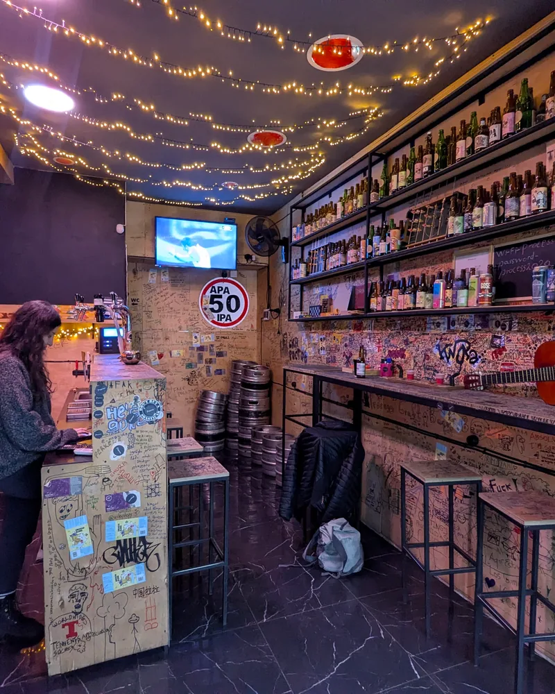 Cozy taproom with fairy lights and guitar at Process Craft Beer Bar