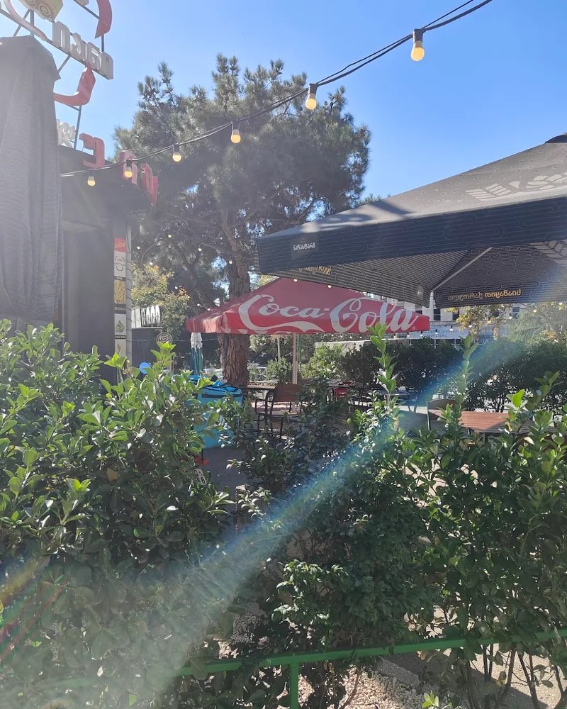 Outdoor seating area partially obscured by bushes at Shawarma Madliani