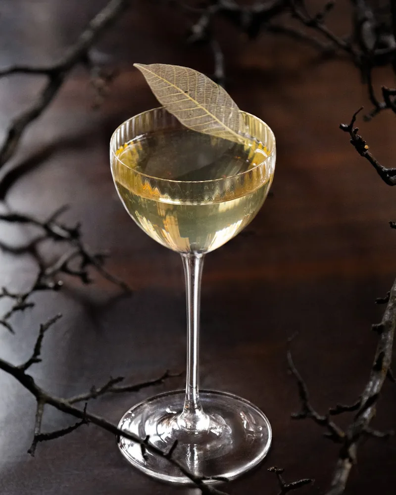 Pale cocktail in a fluted coupe with a dried leaf garnish at Snobs