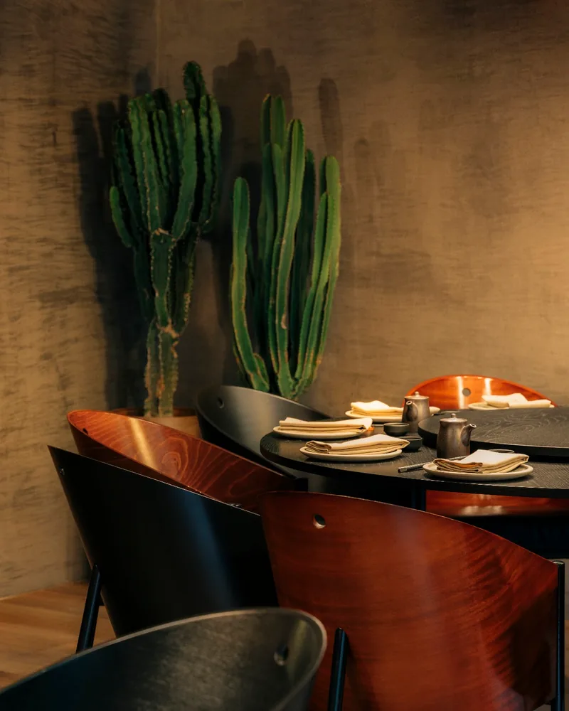 Dining room with curved wooden chairs and a cactus at Sushi Room