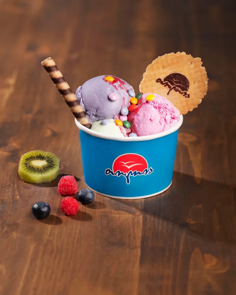 Ice cream cup with scoops, wafer roll, cookie and fruit garnish at Tolia